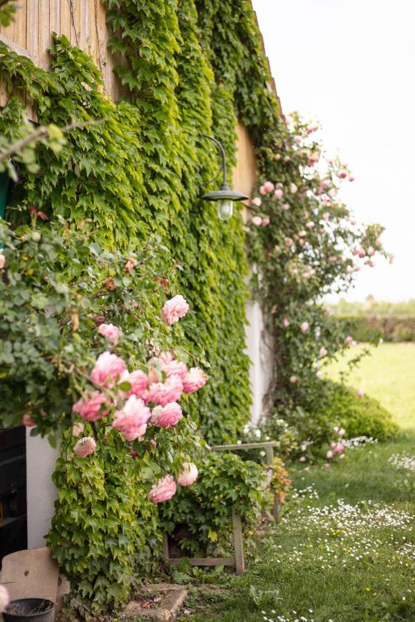La Casa Vecchia B&B Camisano Vicentino Luaran gambar